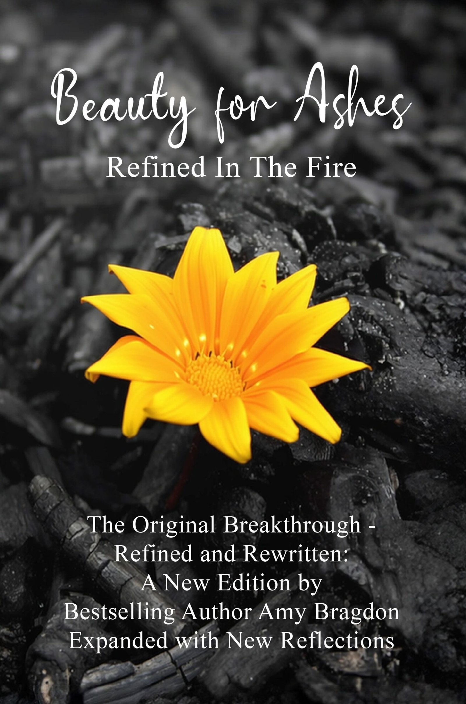 Beauty For Ashes: Refined in the Fire - Image 2